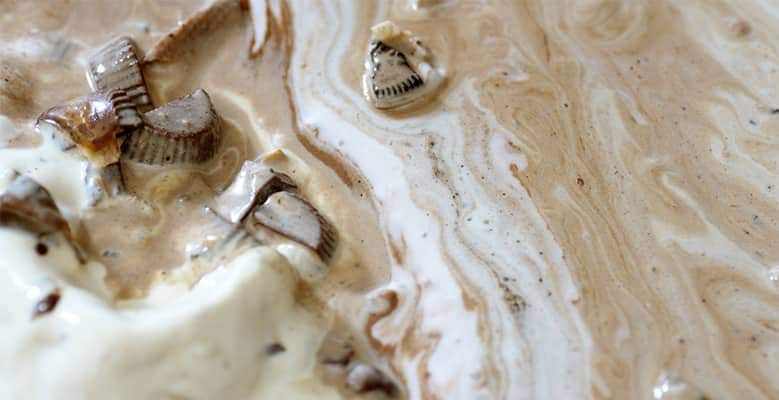 Ben & Jerry's Melt Report 2