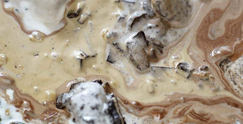 Ben & Jerry's Melt Report 5