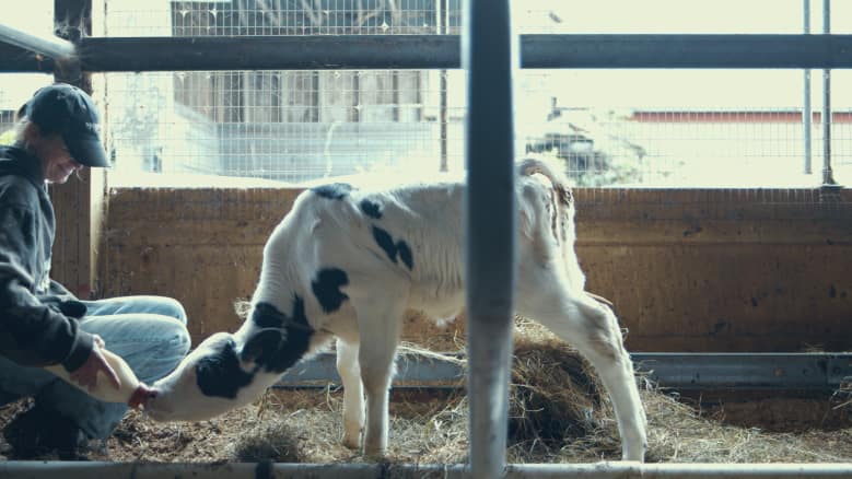 Ben & Jerry's Caring Dairy Make a Difference