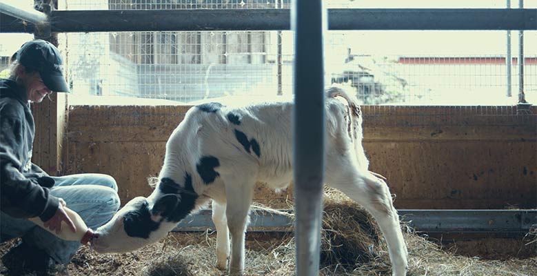 Farmer with calf