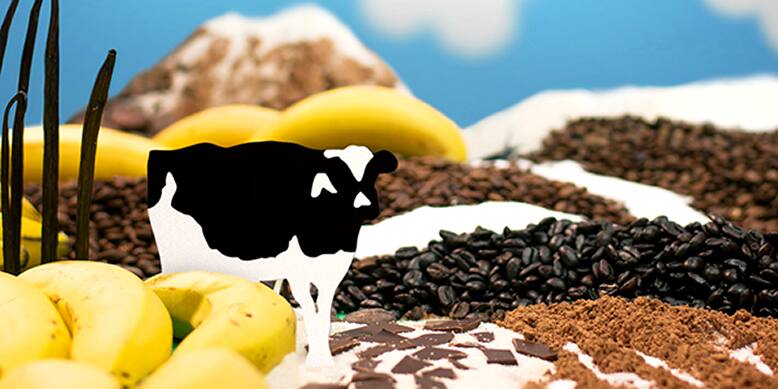 Ben & Jerry's fair trade day