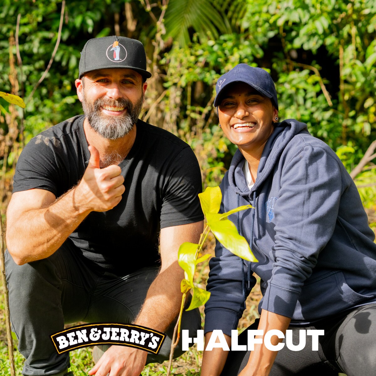 Healing the World's Oldest Rainforest with HalfCut