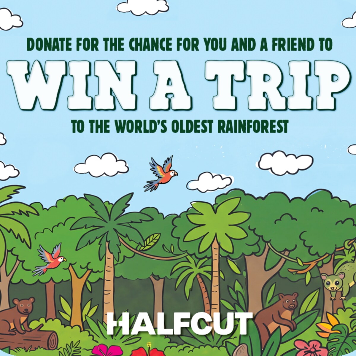 Win a Trip to the World's Oldest Rainforest